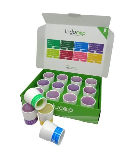 caja inducap